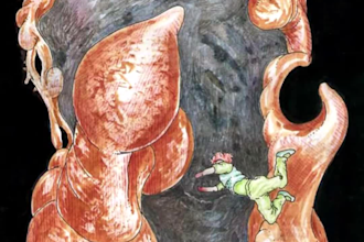 crear hasta 10 ilustraciones para tu libro