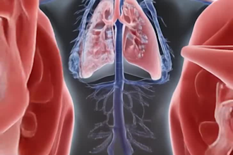 create quality 3d medical animation 3d modelling 3d medical explainer video