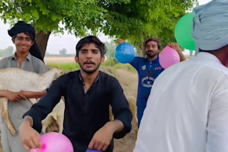wish happy birthday or spokesperson and funny africa video