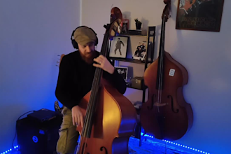 record affordable but pro double bass lines