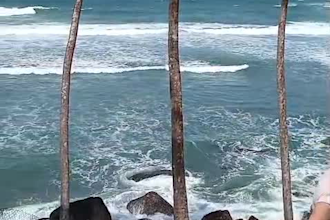 be your private sri lanka tour guide with airport pickup and car