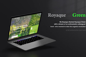 design and develop a responsive website