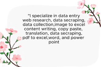do excel data entry, contact list, data collection, copy paste and web research