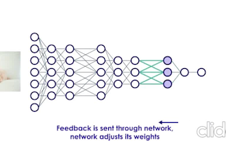 train deep learning models and fine tune pretrained models