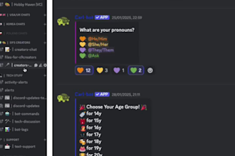 set up a professional discord server with bots and roles