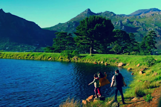 do colour grade or correction for films and commercial use