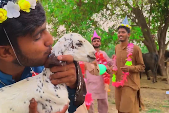 do funny african happy birthday video or birthday video