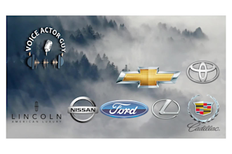voice your dealership advertisement