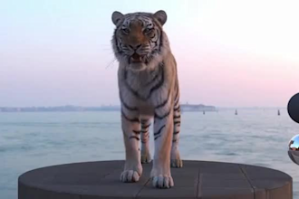 do 3d animal animation, 3d rigging, 3d creature design,  cgi,vfx