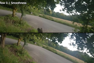 stabilise gopro footage for you