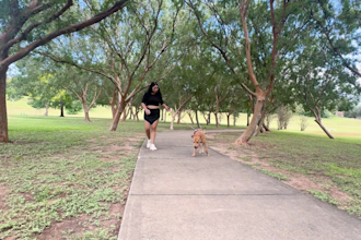 create ugc videos for your pet brand