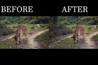 smooth and stabilize your shaky video, footage fast