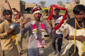 wish funny african happy birthday video african happy birthday video