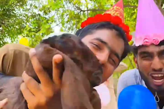 african happy birthday video african happy birthday video