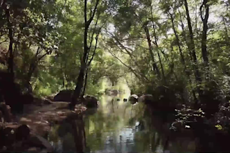 create mind relaxing, sleeping, mediation video for you tube