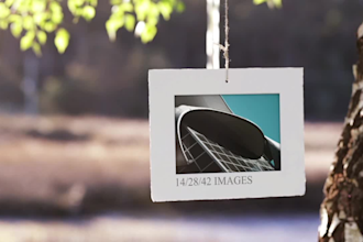 create a beautiful summer nature photo gallery animation