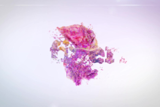 make a wonderful animated video with colorful water splash