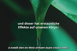 add subtitles to your video in english russian romanian