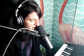 be the professional female vocalist and singer for your song