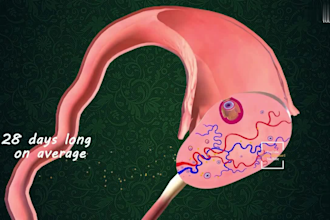 create high quality 3d medical animation video medical illustration anatomy