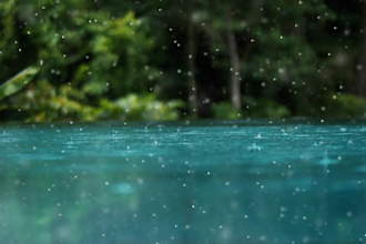 do simple and professional video editing in 24 hours
