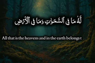 create beautiful quran recitation videos with translation