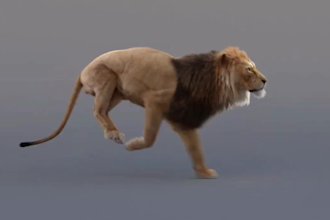 design 3d modeling character, 3d animal, 3d game, animation with cartoon style