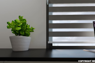 do photorealistic animation interior and exterior design