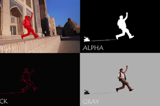 provide studio quality rotoscoping and green screen removal
