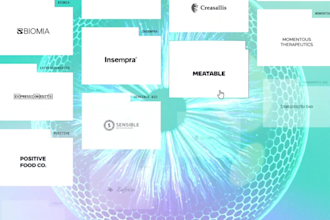 design 3d webflow website developer threejs gsap spline animation scroll effect