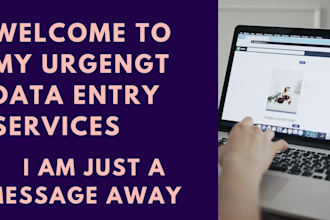 do urgent data entry and email virtual assistant