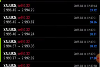 deliver you profitable forex trading robot, forex ea bot, forex gold ea, hft bot