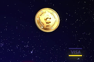 do 8 crypto logo animation in 20 hours