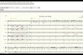 create professional music arrangements