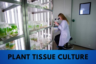 do biotechnology and plant tissue culture tasks