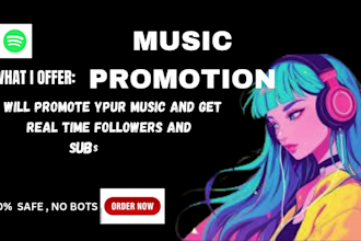 do music promotion through all music streaming platforms