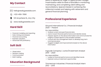 make a professional resume and linkedin profile