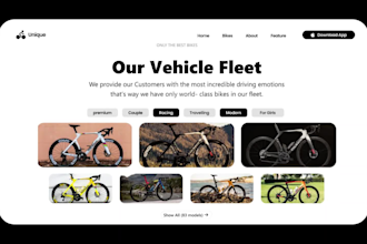 design or redesign full stack animated wordpress website in 24 hours