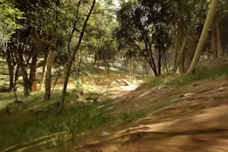3d landscape terrain cinematic forest and 3d environment