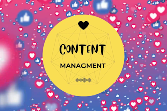 be your social media content manager
