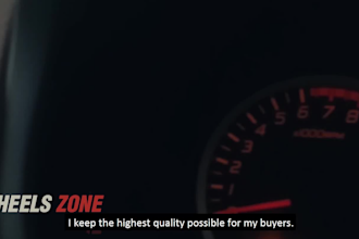 do professional and fast video editing in 24 hours