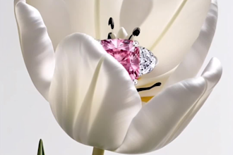 do an ai flower jewelry reveal video