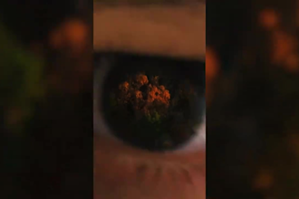 create a professional music video or visualizer for you