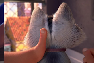 create 3d pet animation video, 3d pet supply, animal product animation, 3d logo