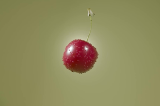 3d can animation 3d beverage animation soda  3d bottle animation 3d bottle model