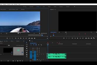 simple video editing at cheap price