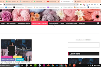 create a professional news channel , blog website on wordpress