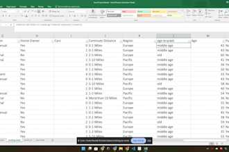 do excel data cleaning, pivot table, dashboard and future expectation