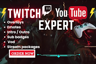 do twitch panels, logo, overlay, emotes, intro, sub badges, vod, stream packages