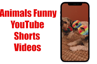 edit instagram reels, youtube shorts and tiktok short